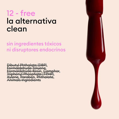 Welcome Kit Green Flash™