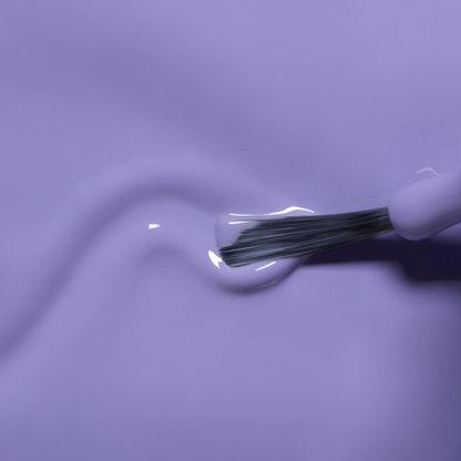 Hector le Stégosaure