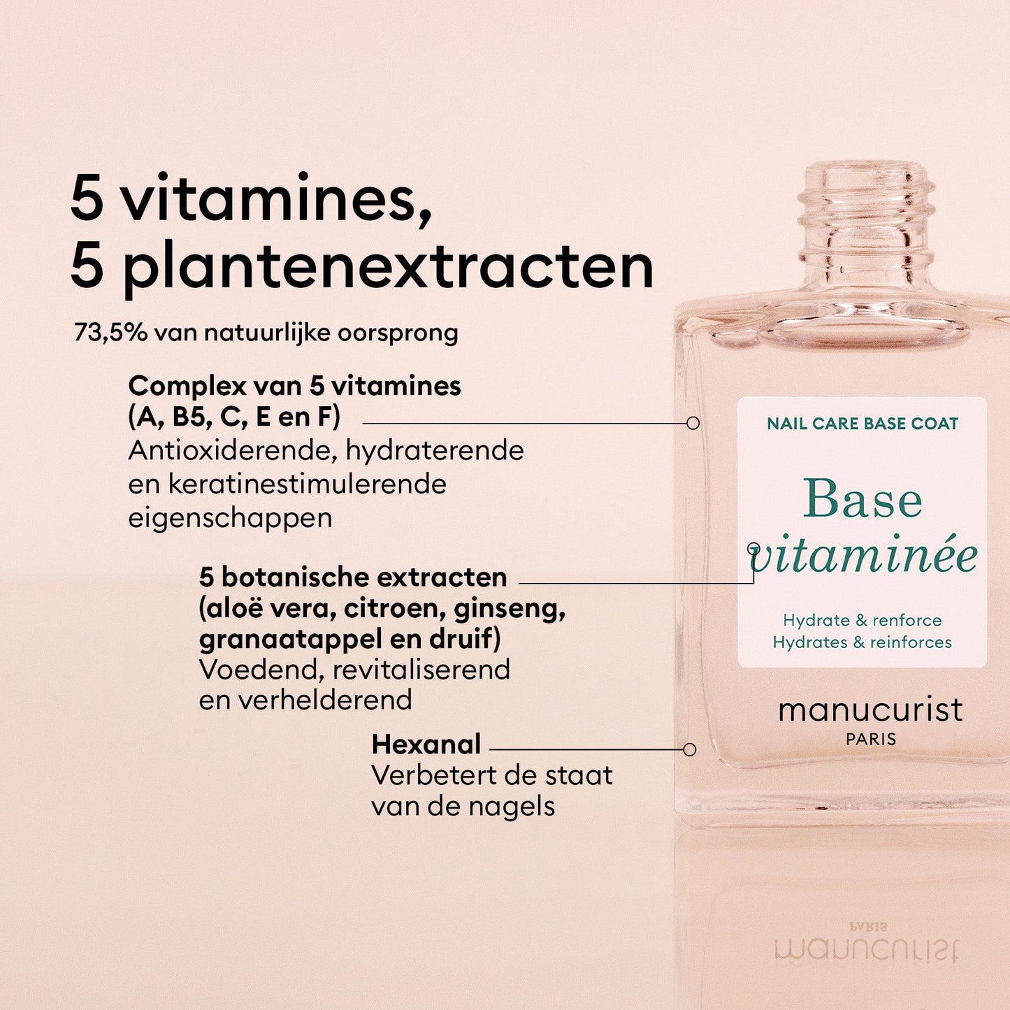 Base Vitaminée